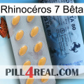Rhinocéros 7 Bêta 44